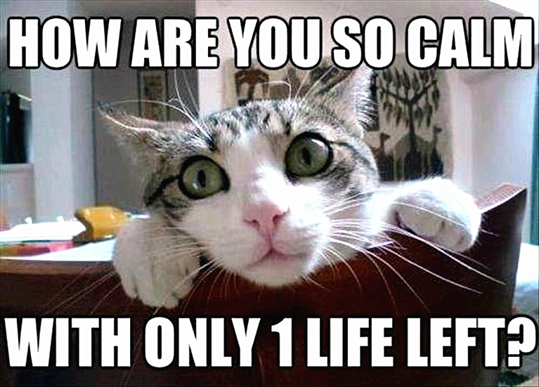 Cat meme with a cute cat saying you can't be calm with only one life let