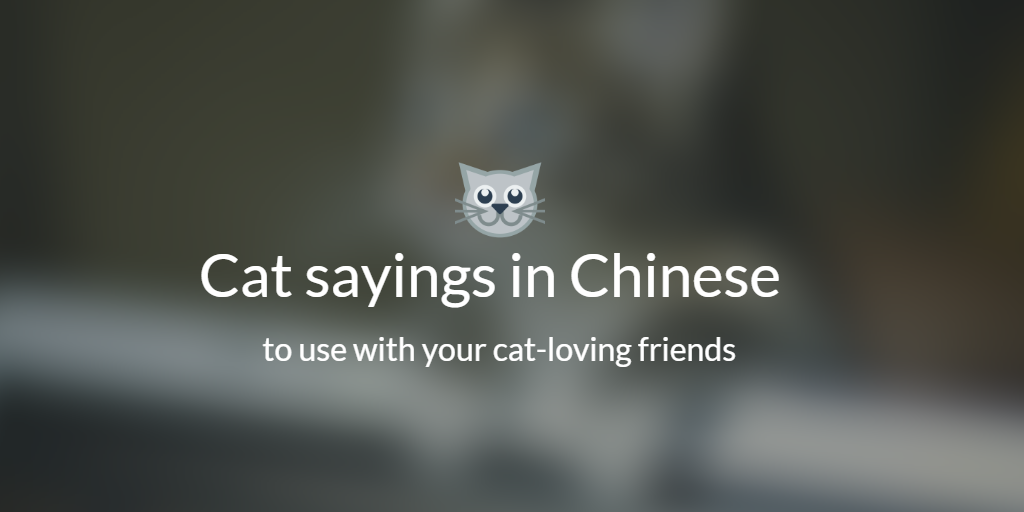 Cat sayings in Chinese to use with your cat-loving friends