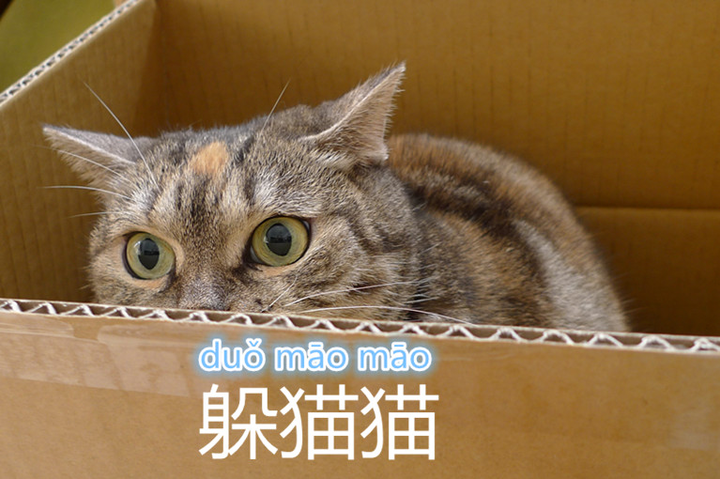 The Chinese Character for “Cat” 猫