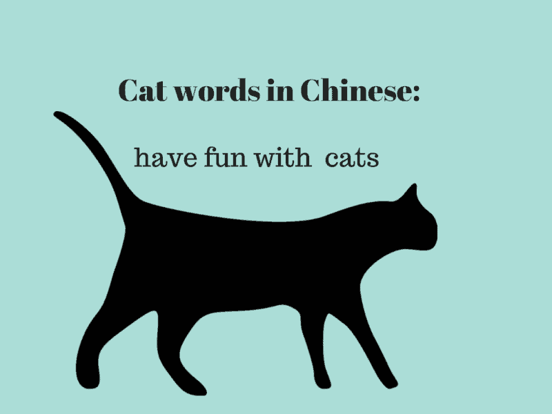 Cat sayings: 6 purrfect quotes in Chinese - Ninchanese