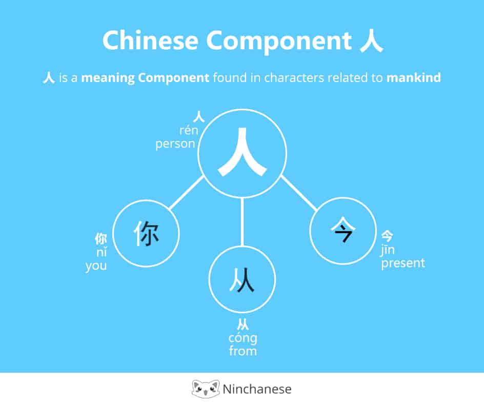 Everything you need to know about the Chinese character component äºº in an easily downloadable and sharable image