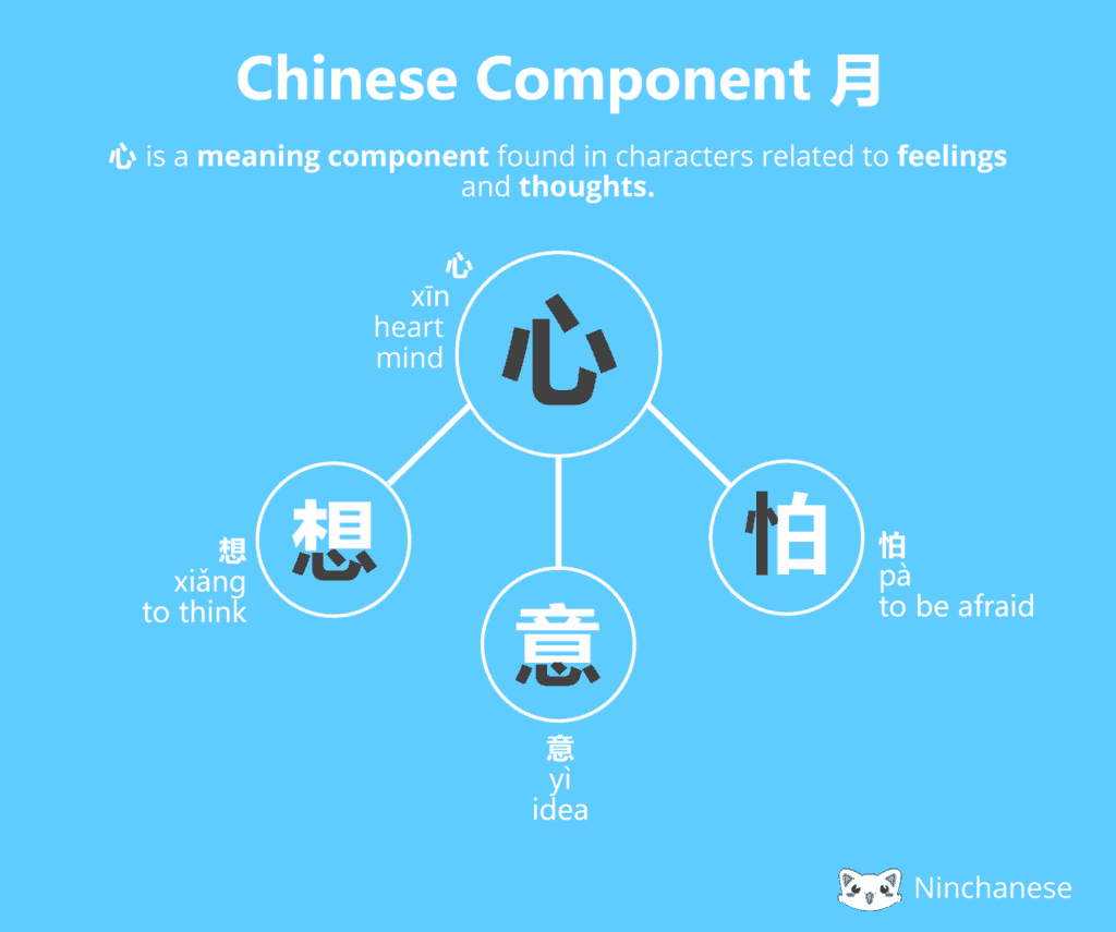 Chinese character: the meaning component å¿ heart