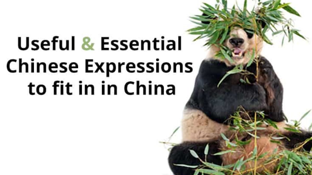 Useful And Essential Chinese Expressions That Will Help You Fit In In China Ninchanese