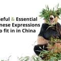 Useful & Essential Chinese Expressions to fit in in China