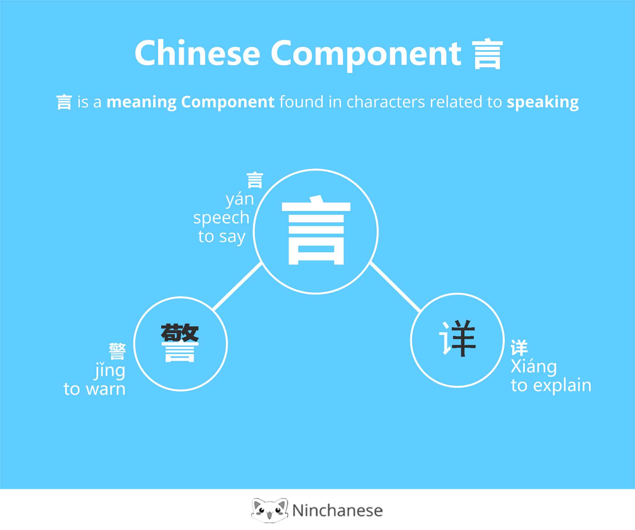 Component meaning