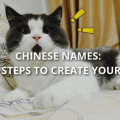 Chinese names: 5 steps to create yours