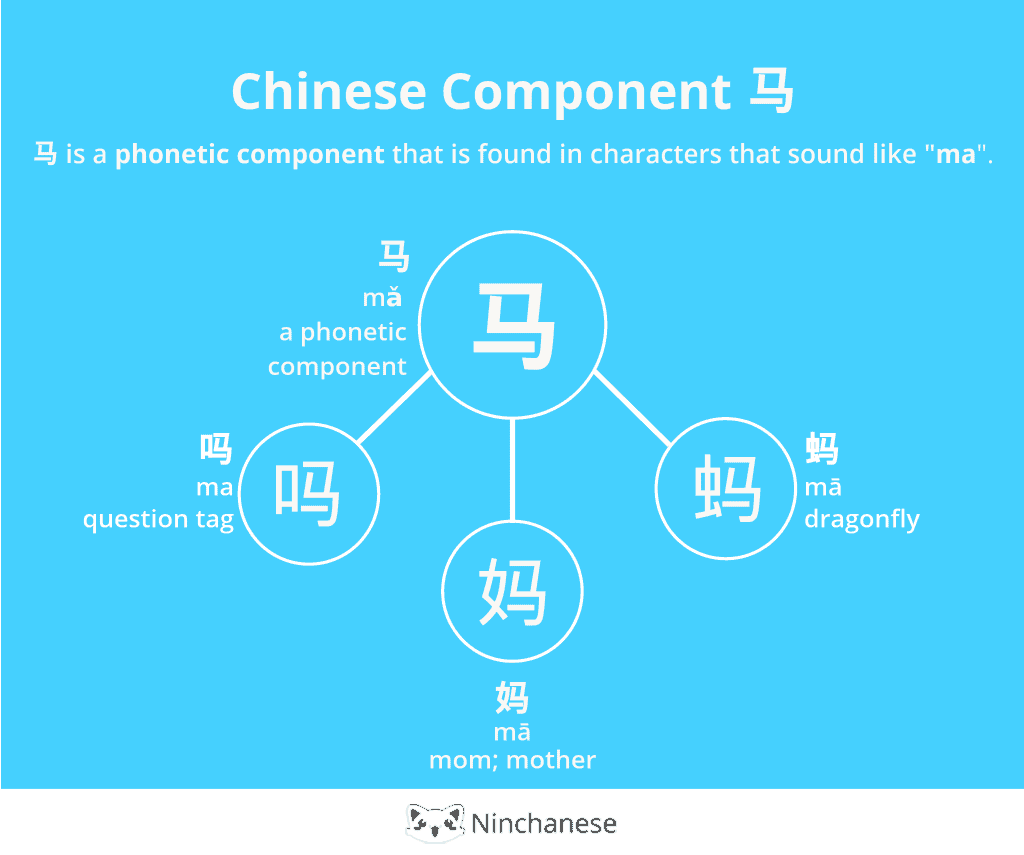 Everything you need to know about the Chinese character component 马 horse in an easily downloadable and sharable image