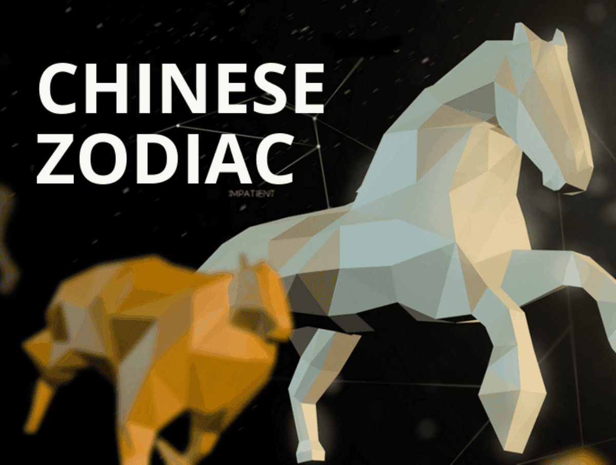 The 12 Chinese Zodiac Signs And The Leftover Cat – Ninchanese