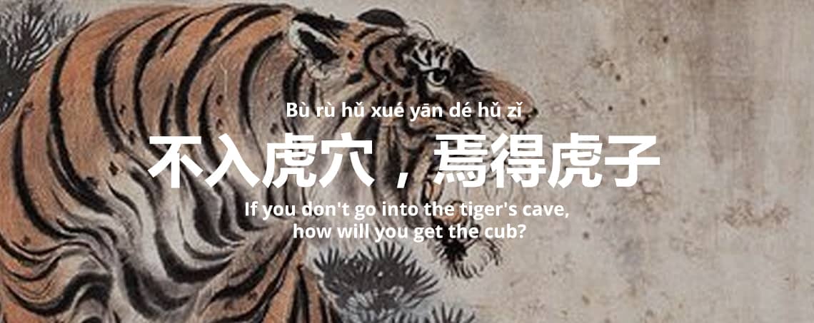不入虎穴，焉得虎子 - Bù rù hǔ xué yān dé hǔ zǐ - If you don't go into the tiger's cave, how will you get the cub?