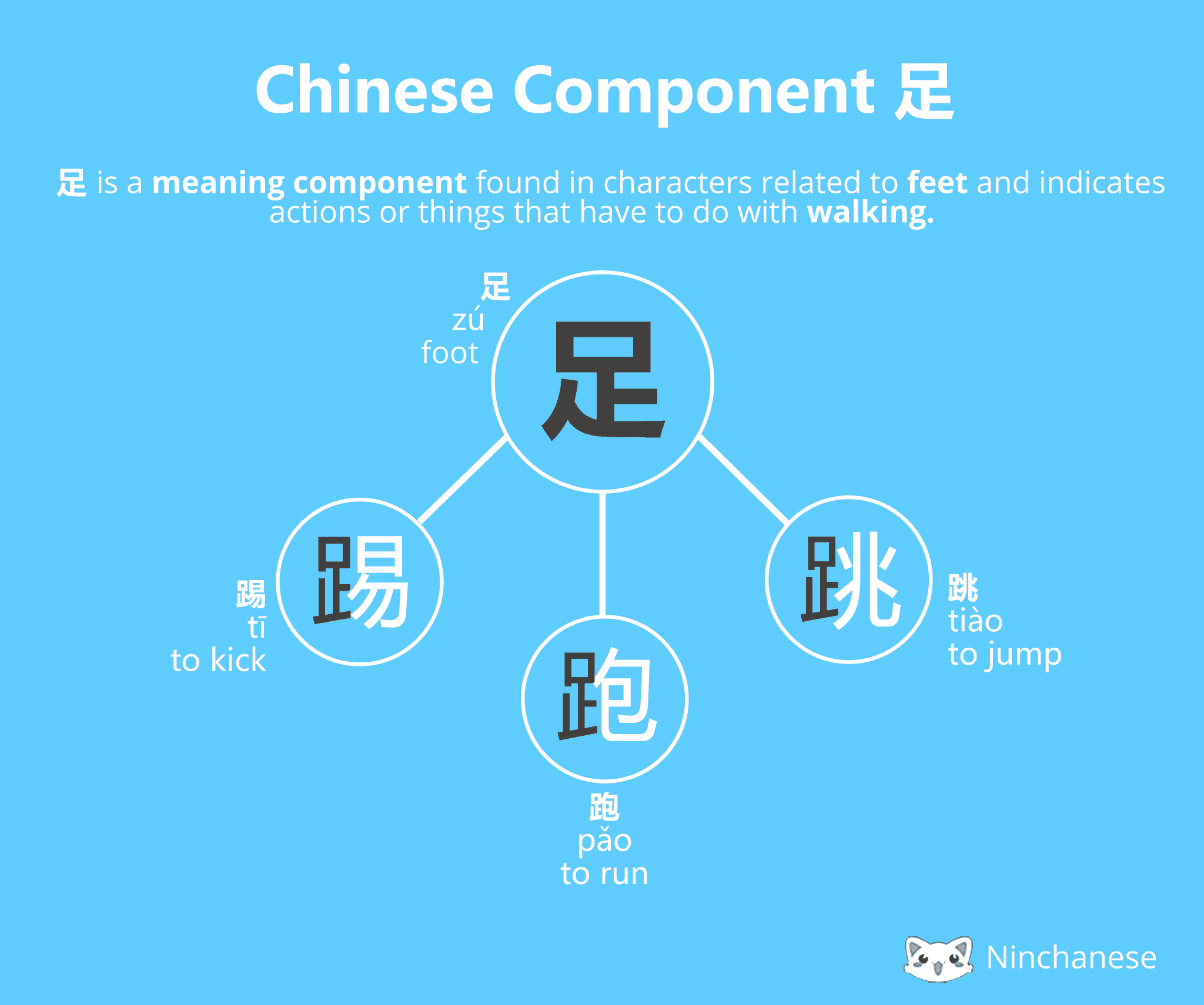 Chinese Character component 足 foot (meaning) - Ninchanese