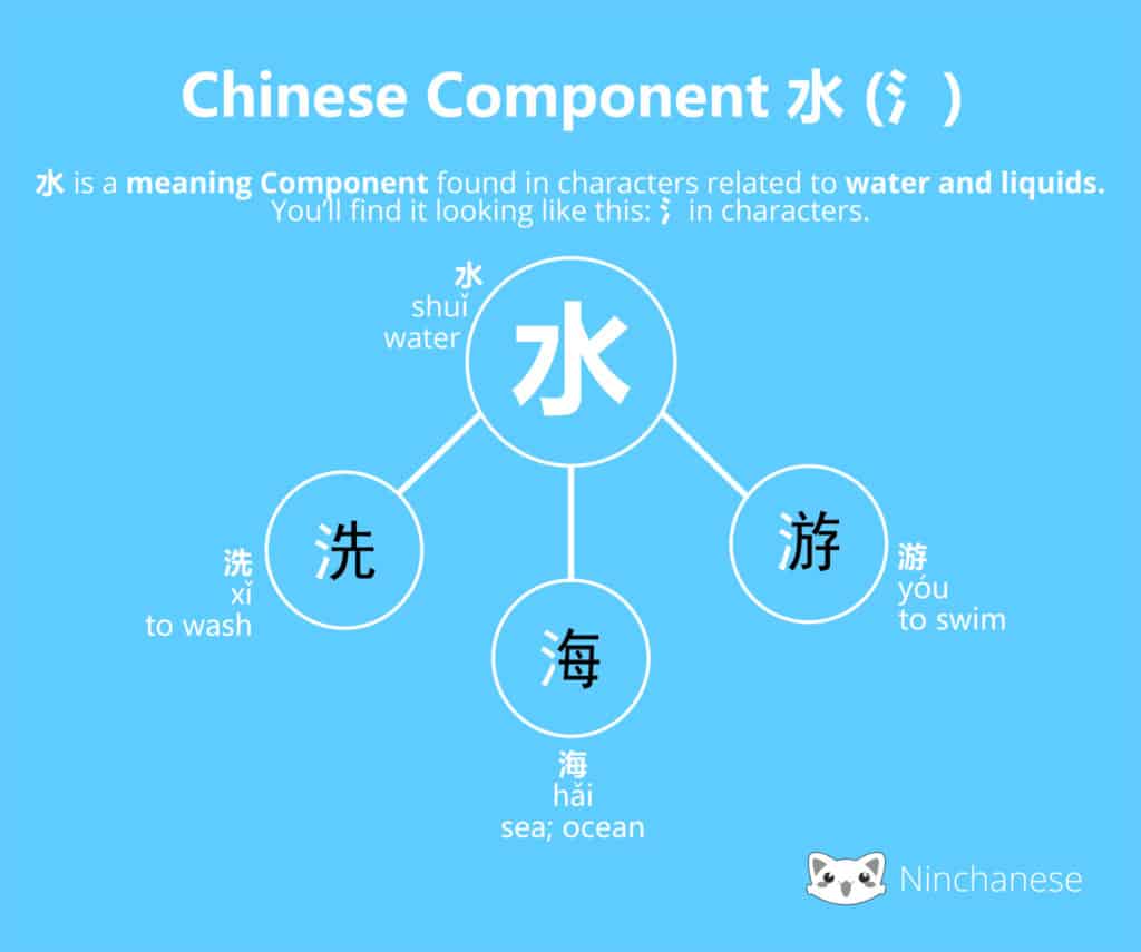 Everything you need to know about the Chinese character component æ°´ water in an easily downloadable and sharable image