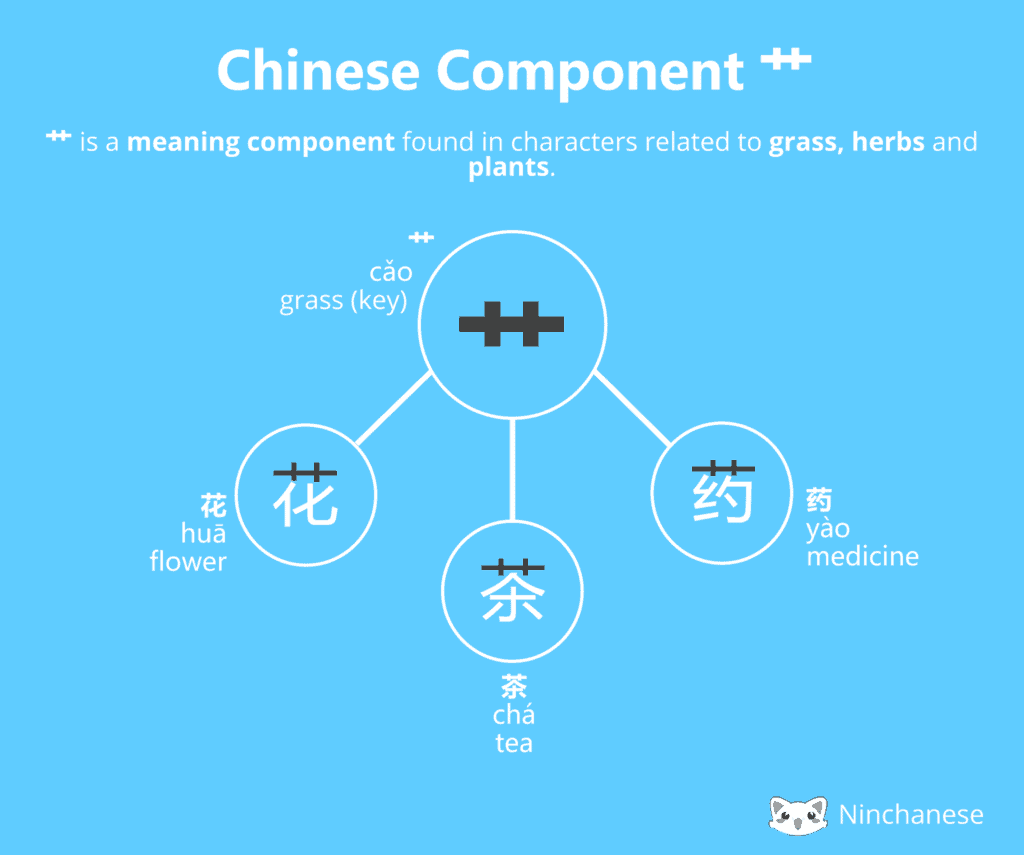 Component meaning. Chinese Radical 火. Flesh Chinese Radical. Chinese Radical stretching person. Radical 67 Chinese characters.