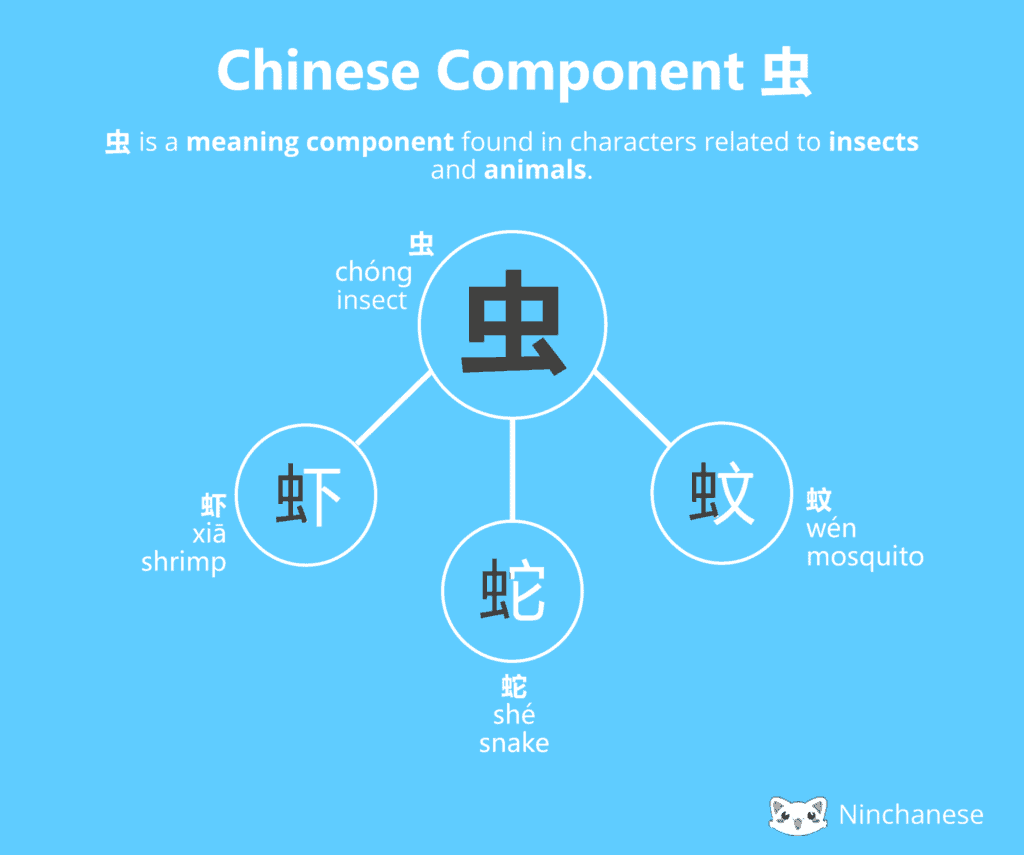 Everything you need to know about the Chinese character component è« insect in an easily downloadable and sharable image