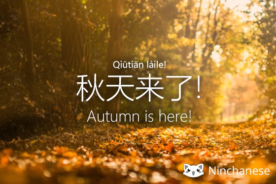 How do you see fall is here in Chinese? 