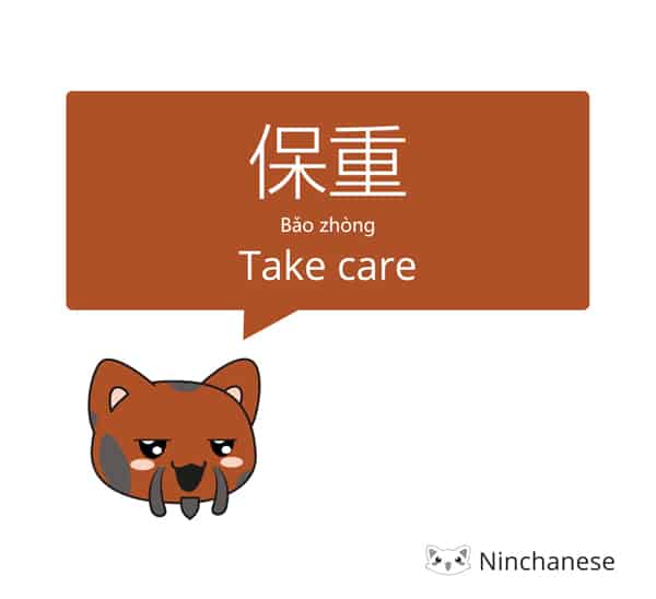 Goodbye in Chinese: take care 保重 says the cat