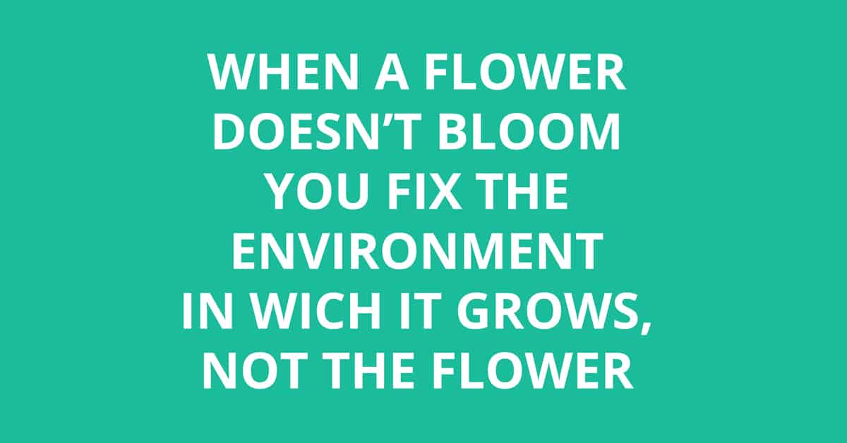 when a flower bloom