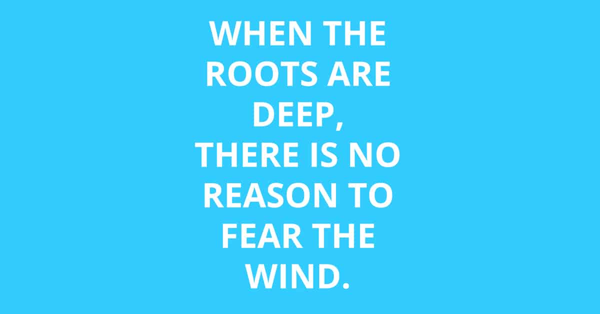 roots are deep